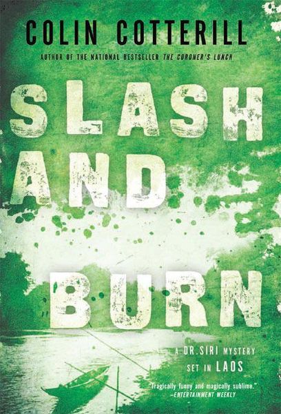 Titelbild zum Buch: Slash and Burn